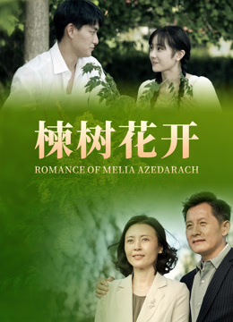 楝树花开 海报 高清在线观看