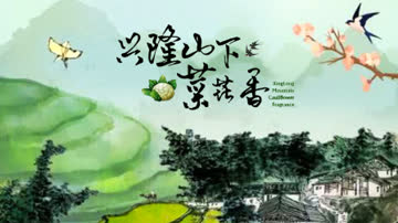 兴隆山下菜花香 海报 高清在线观看