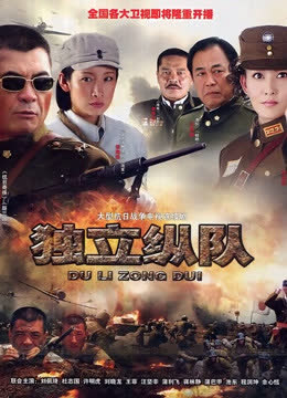 独立纵队 海报 高清在线观看