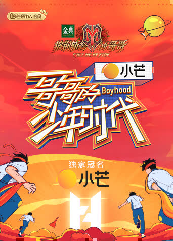 哥哥的少年时代 海报 高清在线观看