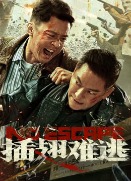 插翅难逃 海报 高清在线观看