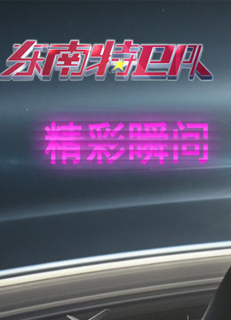 东南特卫队精彩瞬间 海报 高清在线观看