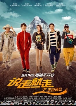 说走就走之不说再见 海报 高清在线观看
