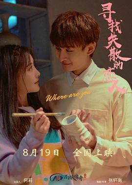 消失的恋人 海报 高清在线观看