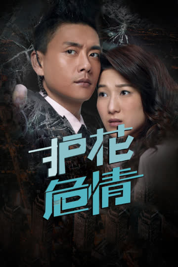 护花危情 海报 高清在线观看