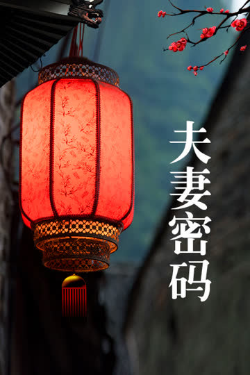 夫妻密码 海报 高清在线观看