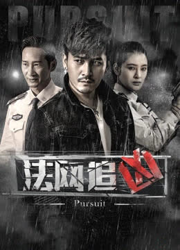 法网追凶第一季 海报 高清在线观看
