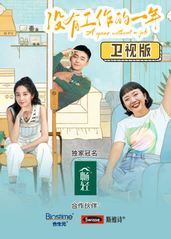 没有工作的一年 卫视版 海报 高清在线观看
