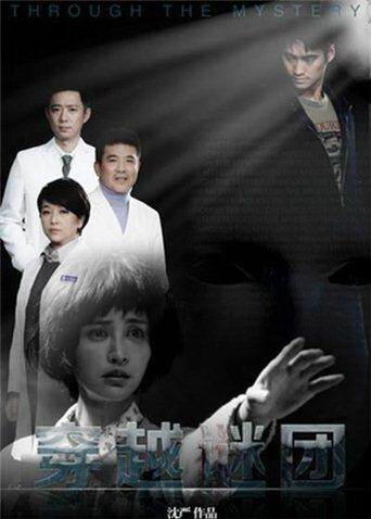 穿越谜团 海报 高清在线观看