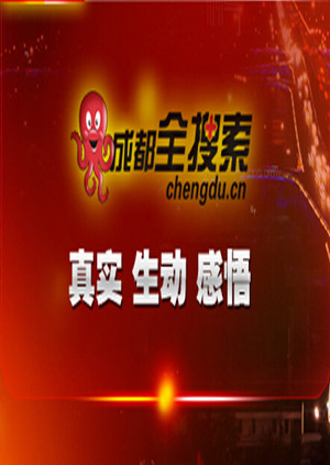 全搜索访谈间 海报 高清在线观看