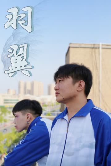 羽翼 海报 高清在线观看