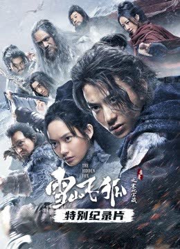 雪山飞狐之塞北宝藏·纪录片 海报 高清在线观看