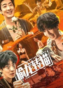 偷龙转猫 海报 高清在线观看