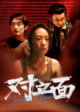 对立面 海报 高清在线观看