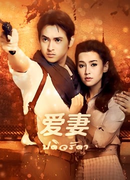 爱妻普通话版 海报 高清在线观看