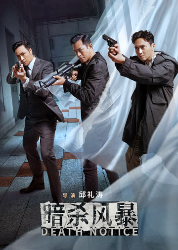 暗杀风暴 海报 高清在线观看