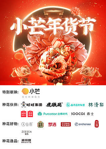 小芒年货节 海报 高清在线观看