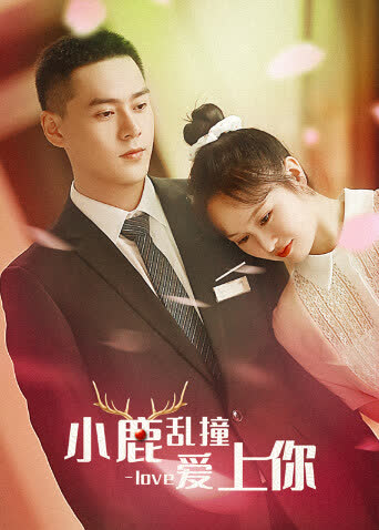 小鹿乱撞爱上你 海报 高清在线观看