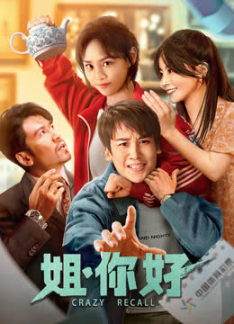 姐，你好 海报 高清在线观看