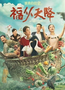 我来自北京之福从天降 海报 高清在线观看