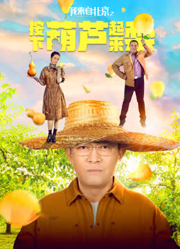 我来自北京之按下葫芦起来梨 海报 高清在线观看