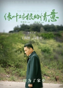 绿叶对根的情意 海报 高清在线观看