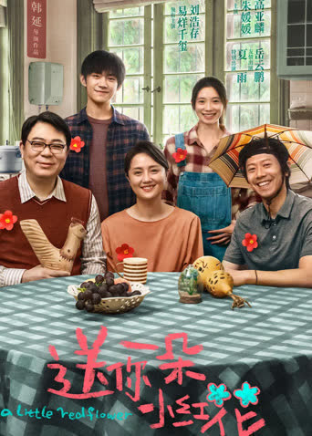 送你一朵小红花 纪录片 海报 高清在线观看