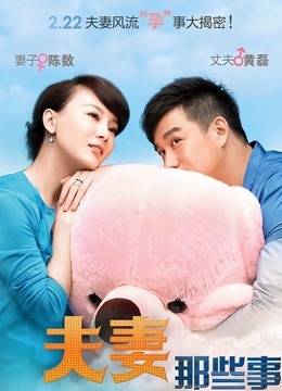 夫妻那些事 海报 高清在线观看