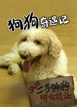 狗狗奇遇记 海报 高清在线观看