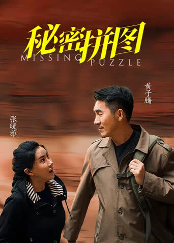 秘密拼图 海报 高清在线观看