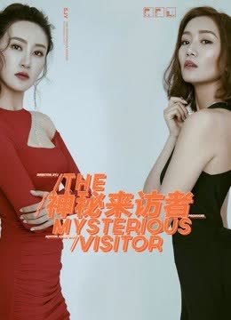 神秘来访者 海报 高清在线观看