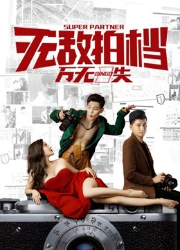 无敌拍档之万无一失 海报 高清在线观看