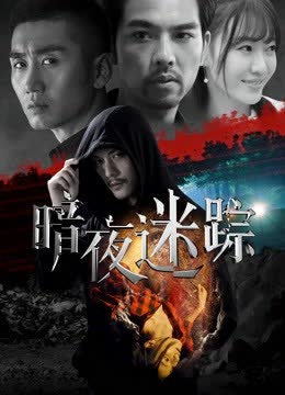 暗夜迷踪 海报 高清在线观看