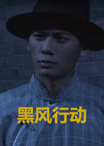 黑风行动 海报 高清在线观看