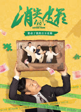 消失的皮箱 海报 高清在线观看