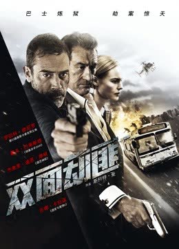 双面劫匪（普通话） 海报 高清在线观看