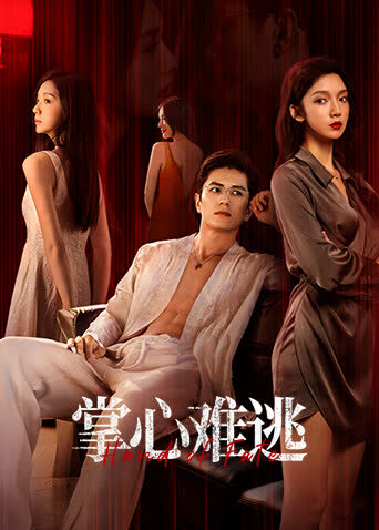 掌心难逃 海报 高清在线观看