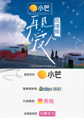 再见爱人 沉浸版 海报 高清在线观看