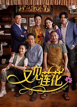 又见莲花 海报 高清在线观看