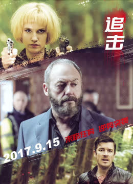 追击（普通话） 海报 高清在线观看