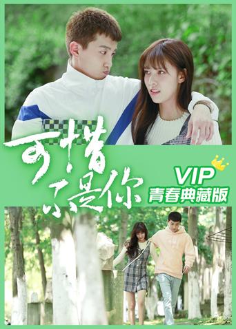 可惜不是你 VIP青春典藏版 海报 高清在线观看