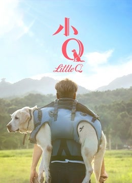 小Q（粤语） 海报 高清在线观看