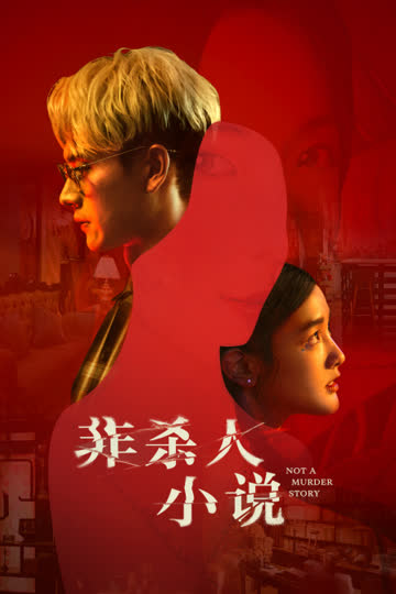 非杀人小说 海报 高清在线观看