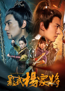 影武杨家将 海报 高清在线观看
