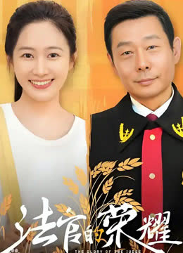 法官的荣耀 海报 高清在线观看