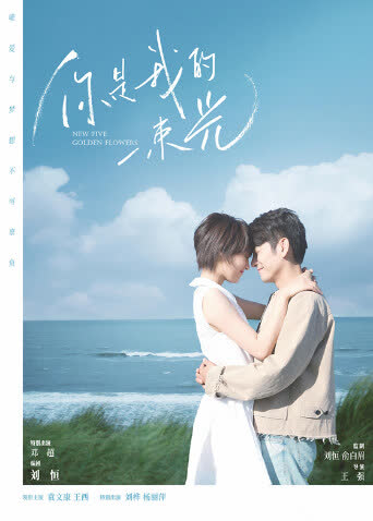 你是我的一束光 海报 高清在线观看