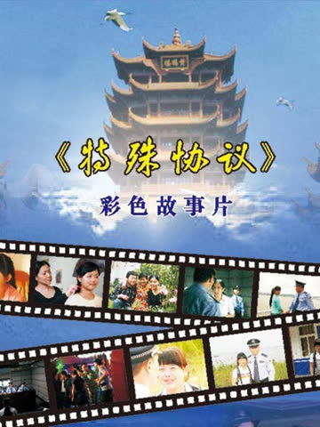 特殊协议 海报 高清在线观看