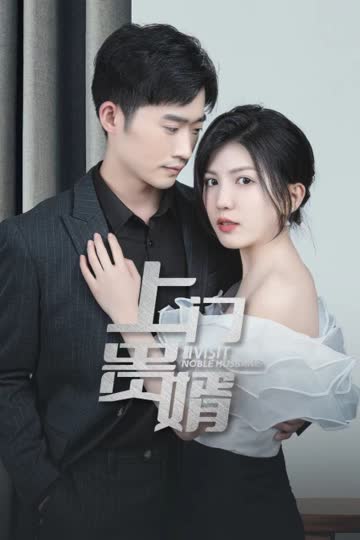 上门贵婿 海报 高清在线观看