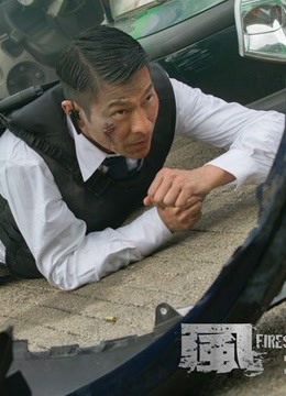 风暴(蓝光真高清) 海报 高清在线观看