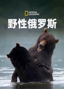 野性俄罗斯第一季 海报 高清在线观看